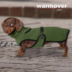 Dackel im grünen Fleece-Wärmecape mit hohem Kragen und Befestigungsriemen auf gepflastertem Boden.