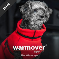 Kleiner grauer Hund im roten Warmover® Cape mit Reißverschluss, aufmerksam und blickend in die Kamera.