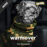 Kleiner Hund mit grauem, lockigem Fell trägt ein camouflage Wärmecape und schaut freundlich in die Kamera.