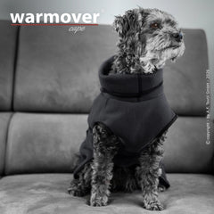 Hund im schwarzen Hoodie-Cape sitzt auf grauer Couch und schaut aufmerksam. Schlichtes, helles Hintergrunddesign.