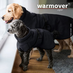 Zwei Hunde im Hundemantel schauen aus dem Fenster, das Licht fällt auf den Holzfußboden. Warmover© cape mini in Aktion.