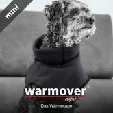 Kleiner Hund mit schwarzem Fleece-Wärmecape auf grauer Couch, aufmerksam zur Seite schauend.