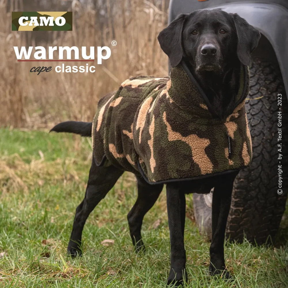 Hund im camouflage-farbenen Mantel auf der Wiese, aufmerksam vor einem Fahrzeug, Warmup© cape classic.