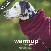Dalmatiner mit rot-schwarzem Wendecape von warmup© pro, erhältlich in Größen XS bis 2XL für Hunde.
