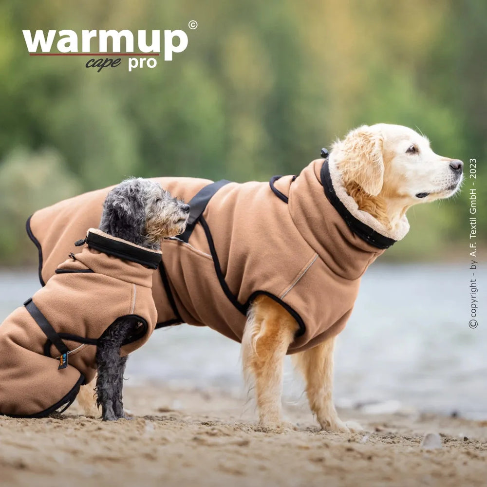 Zwei Hunde in warmer Outdoorkleidung auf sandigem Boden in natürlicher Kulisse – Golden Retriever und Pudel.