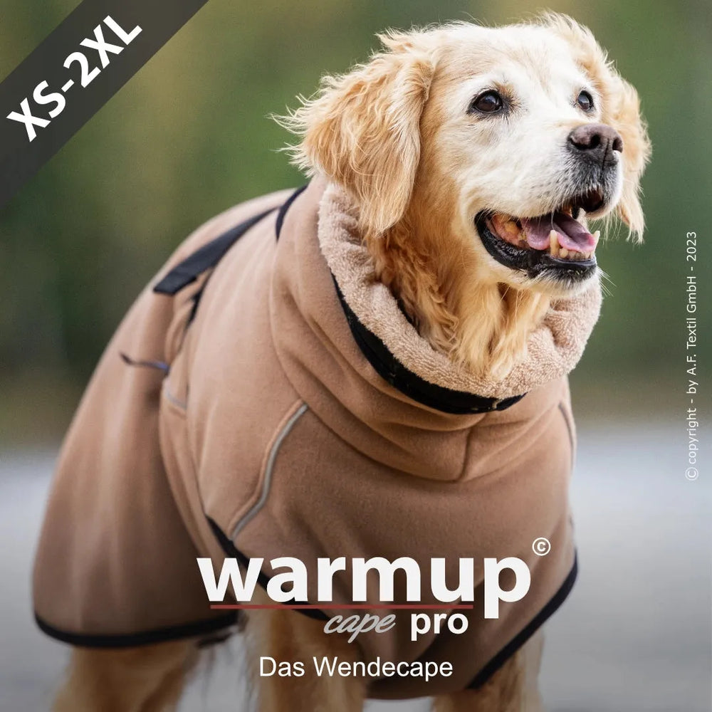Golden Retriever-Hund mit braunem Wendecape "warmup cape pro" und weichem Kragen, ideal für kalte Tage.