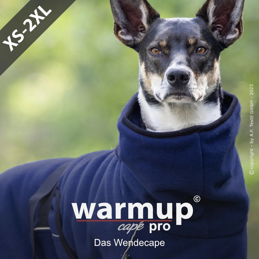 Hund trägt dunkelblauen Wende-Cape mit Kapuze, erhältlich in den Größen XS-2XL. Ideal für kühle Tage.