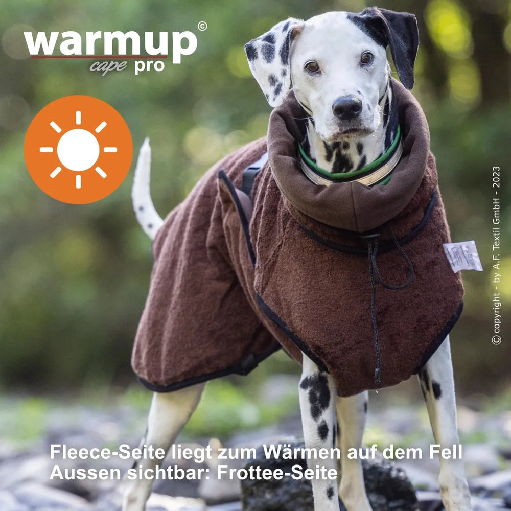 Dalmatiner trägt braunes Wende-Cape aus Fleece mit flauschiger Außenseite vor grünem Hintergrund.