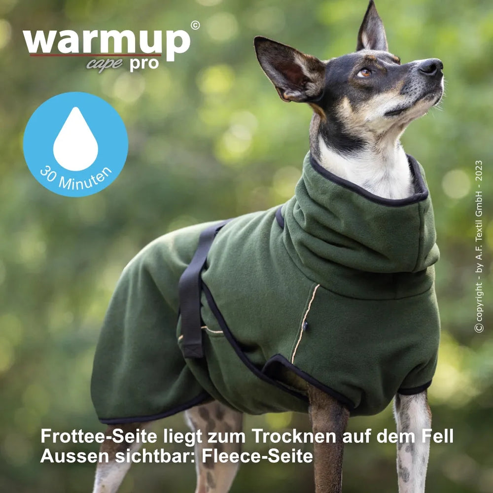 Hund trägt grünes Warmup-Cape Pro, zeigt seine Frottee-Seite und schaut aufmerksam nach oben.