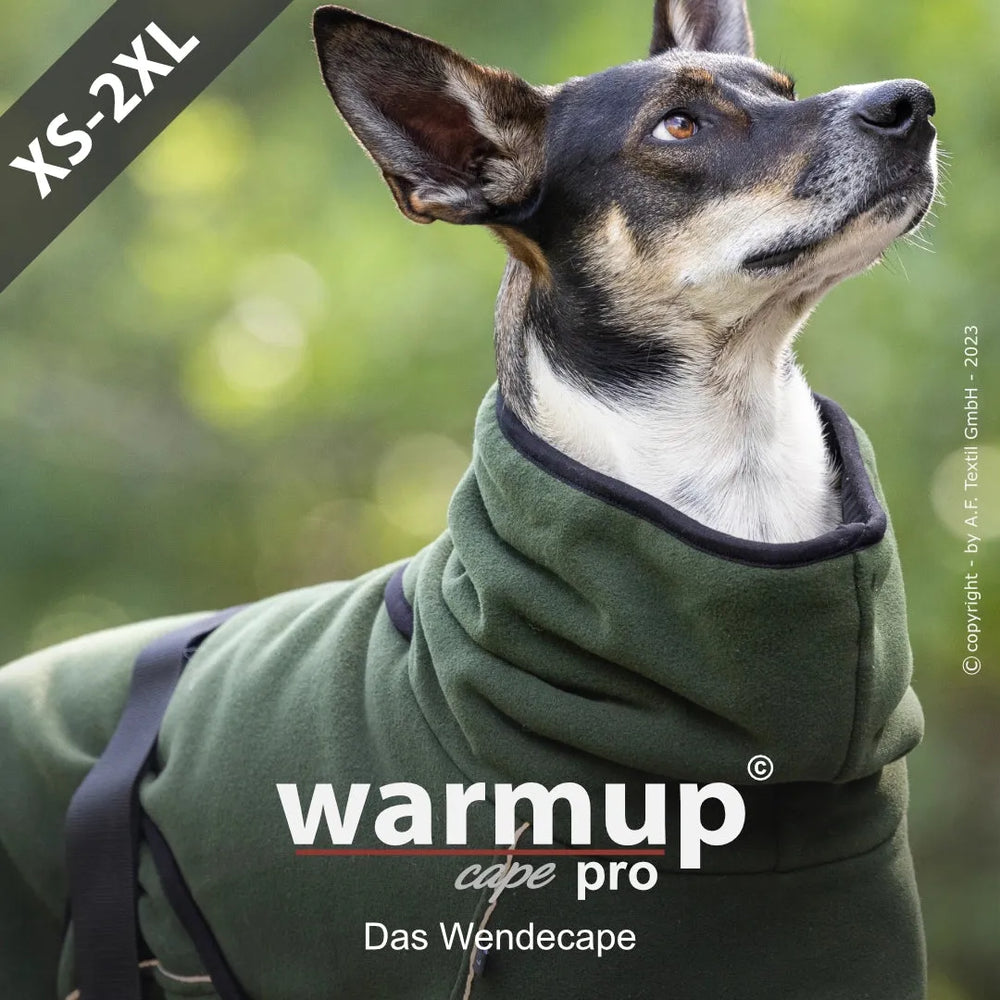 Hund trägt wendbares grünes Cape mit Kapuze, geeignet für Größen von XS bis 2XL.
