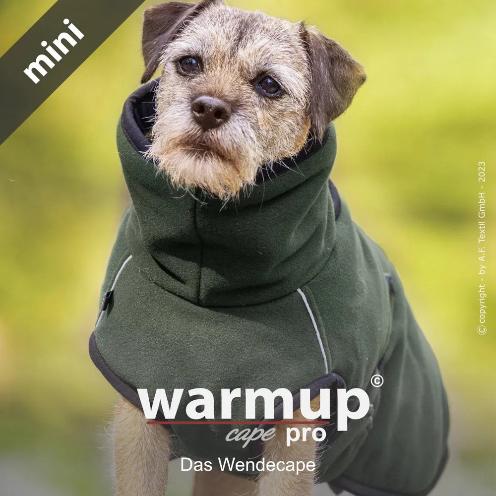 Hund mit grünem Warmup© Cape pro mini, komfortabeler Wende-Cape mit hohem Kragen im verschwommenen Hintergrund.