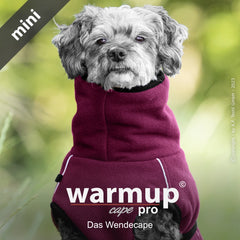 Kleiner Hund im burgunderroten Wende-Cape "warmup cape pro" in natürlicher Umgebung.