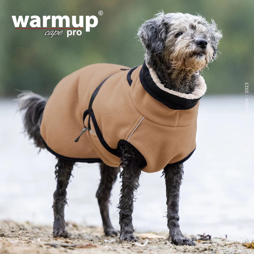 Hund im braunen Wende-Cape von Warmup©, hochkragen, auf nasser Fläche mit Wasser im Hintergrund.