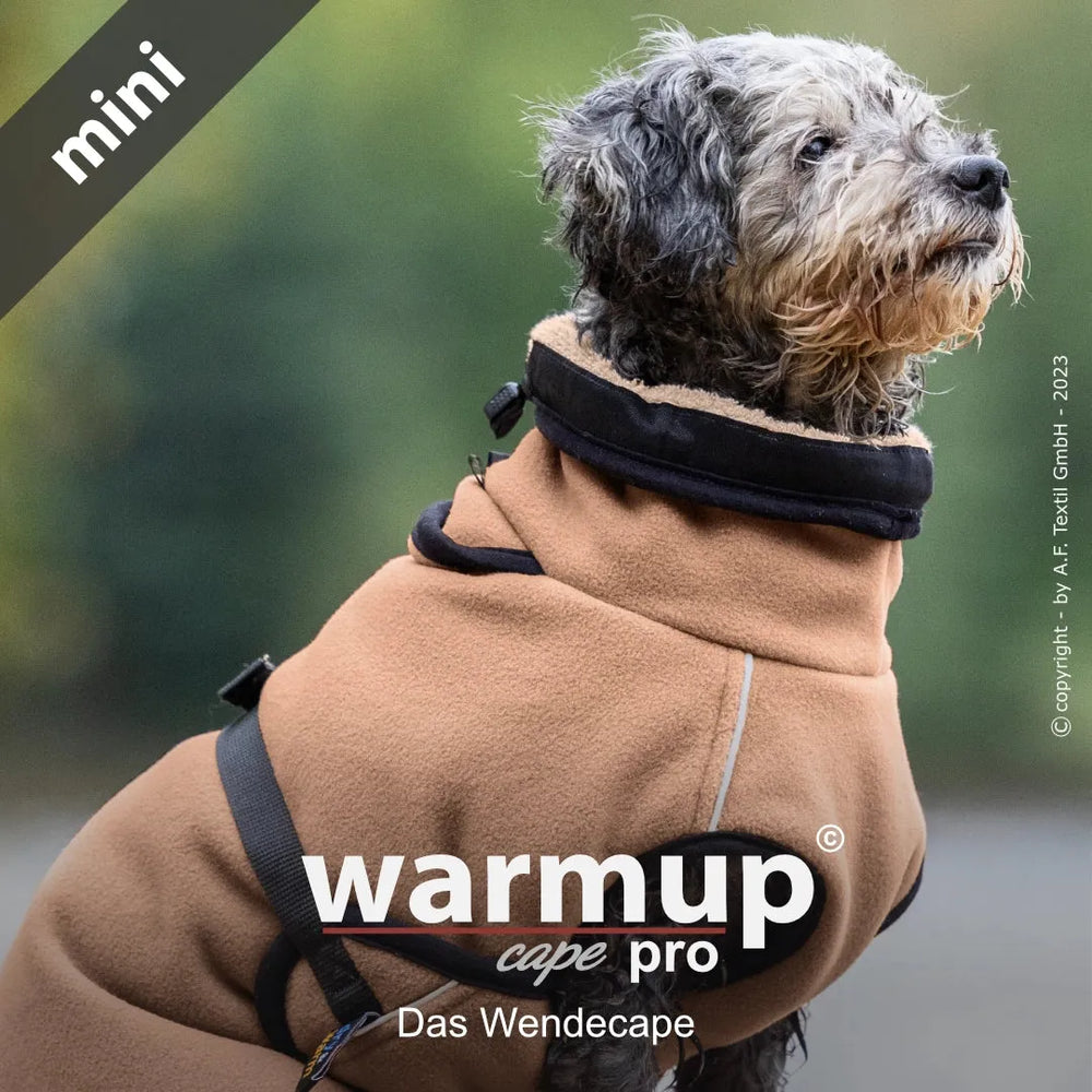 Hund im braunen Wendecape mit hohem Kragen und Gurten, unscharfer Hintergrund für optimalen Fokus auf das Outfit.