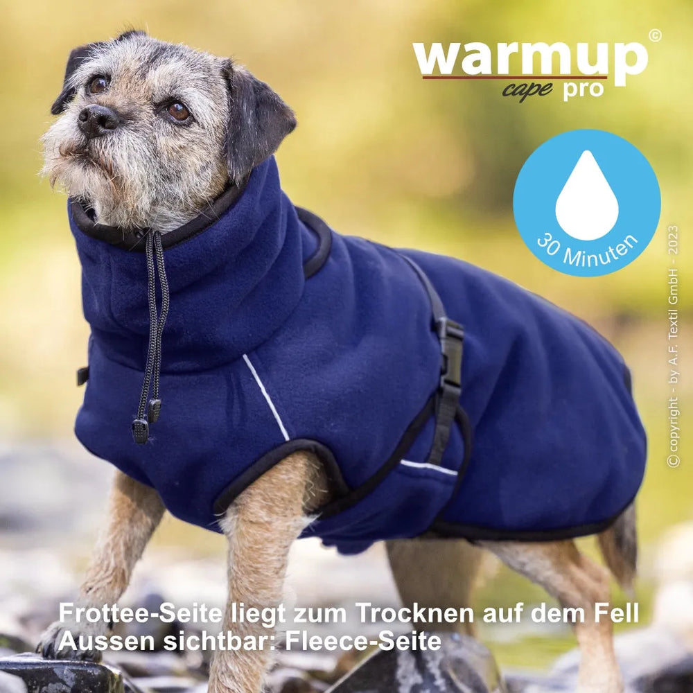 Kleiner Hund im blauen Warmup© cape pro mini Mantel auf Steinen mit Wassertröpfchen, frottierte Innenseite, fleeceartige Außenseite.