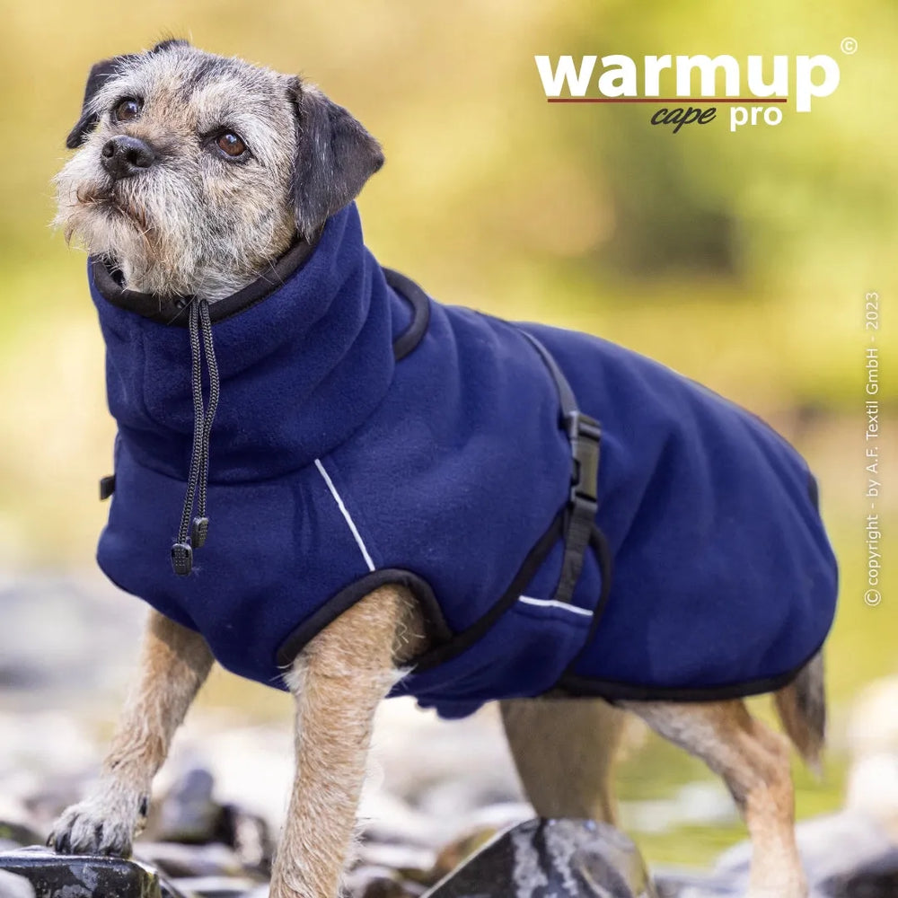 Kleiner Hund trägt blauen Warmup© Cape Pro Mini Hunde-Mantel mit hohem Kragen auf steinigem Untergrund.