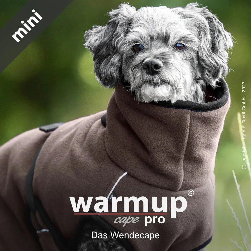 Kleiner Hund im eleganten, braunen Wendecape von Warmup©, ideal für stilvolle Ausflüge.