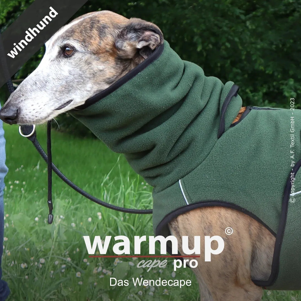 Windhund im wendbaren Cape in moosgrün auf einer Wiese, schützt seinen Hals mit hohem Kragen.
