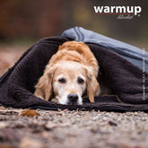 Golden Retriever entspannt in einer warmen Decke auf herbstlichem Boden, wirkt ruhig und zufrieden.