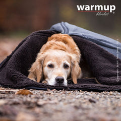 Golden Retriever entspannt in einer warmen Decke auf herbstlichem Boden, wirkt ruhig und zufrieden.