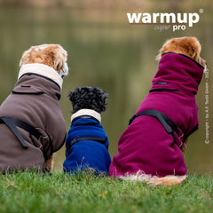 Drei Hunde von hinten in warmen Kapuzenjacken: zwei in burgunderrot und braun, einer in Blau. Ideal für kühle Tage.