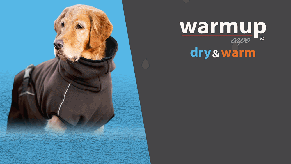Hund trägt warmen Wende-Cape in dunkel, ideal für kühle Tage, mit hohem Kragen für zusätzlichen Schutz.