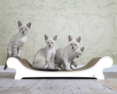 weiß mit Rand (000) - Bild 1