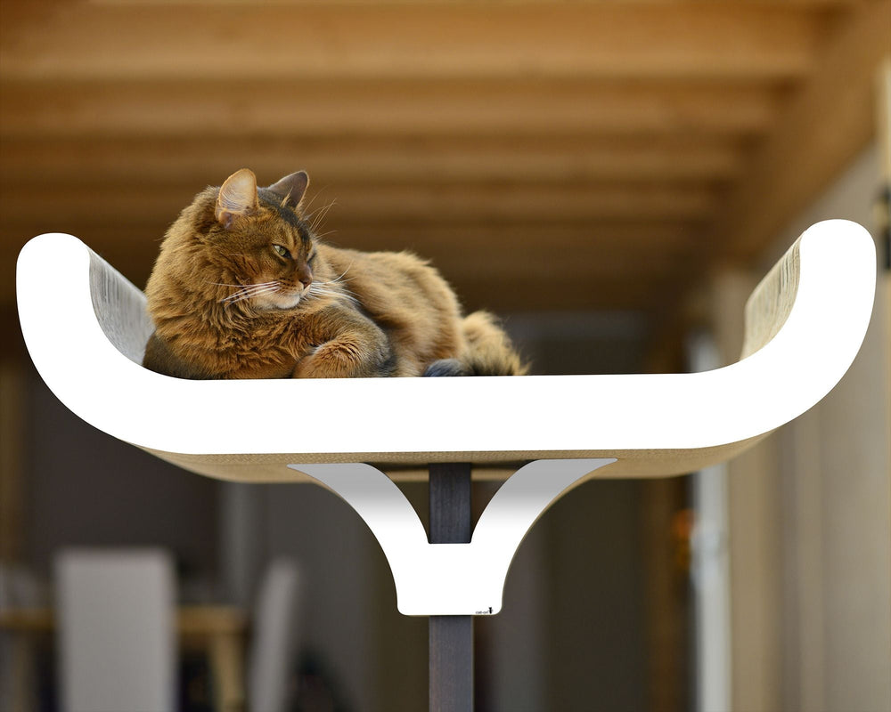 Katze entspannt auf modernem, geschwungenem Kratzbaum im hellen Innenraum. Stylisches Design für Wohnräume.