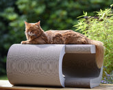 weiß, gestrichen (000x) - Bild 1