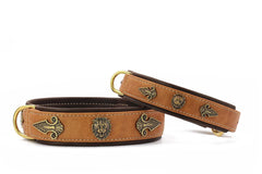 Zwei hochwertige Leder-Hundehalsbänder in Braun und Hellbraun mit Löwenkopf- und Ornamentverzierungen.