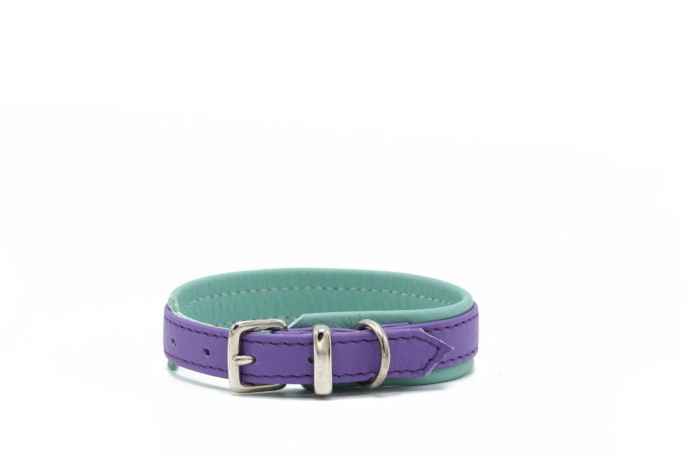 Halsband Spring Break in lila und türkis mit silberner Schnalle – schlichtes, modernes Design für Hunde.