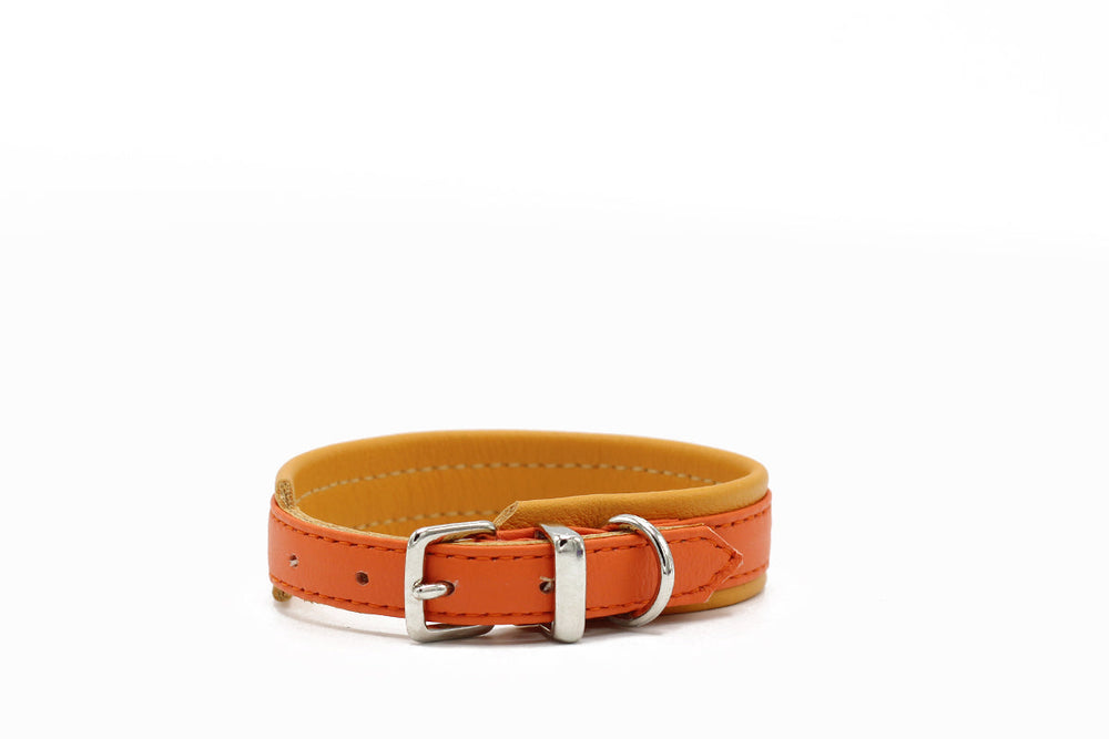 "Orangefarbenes Lederarmband mit silbernen Schnallen und gelber Innenseite auf weißem Hintergrund, schlicht und elegant."