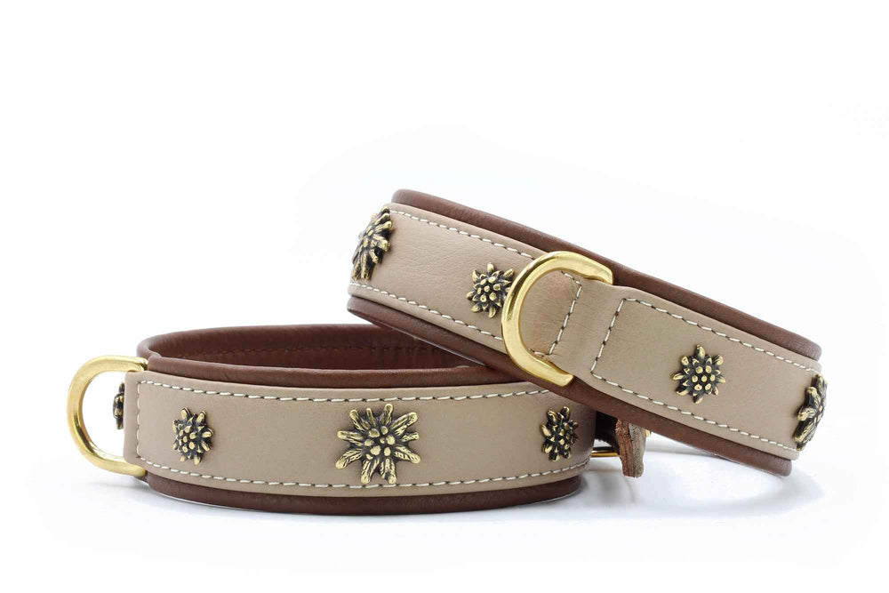 "Hundehalsband Bergblume aus Leder in heller Farbe mit goldenen Verzierungen und blumenartiger Dekoration."