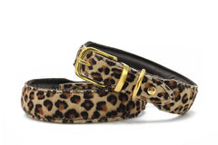 Halsband für Haustiere im Leopardenmuster mit goldenen Beschlägen und dunkelbraunem Innenbereich.