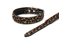 Halsband mit Leopardenmuster für Haustiere, Lederoptik, silberne Schnalle und zusätzlicher Riemen.