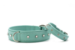 Halsband und Leine im mintgrünen Design mit silbernen Nieten, ideal für stilbewusste Hundehalter.