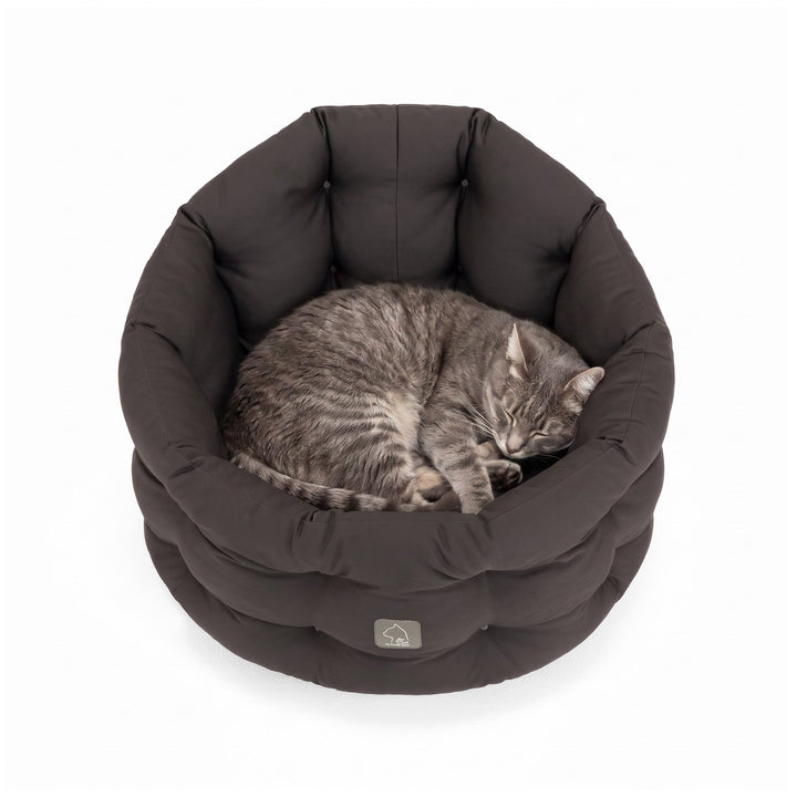 Graue getigerte Katze schläft eingerollt in einem dunkelgrauen Katzenbett.