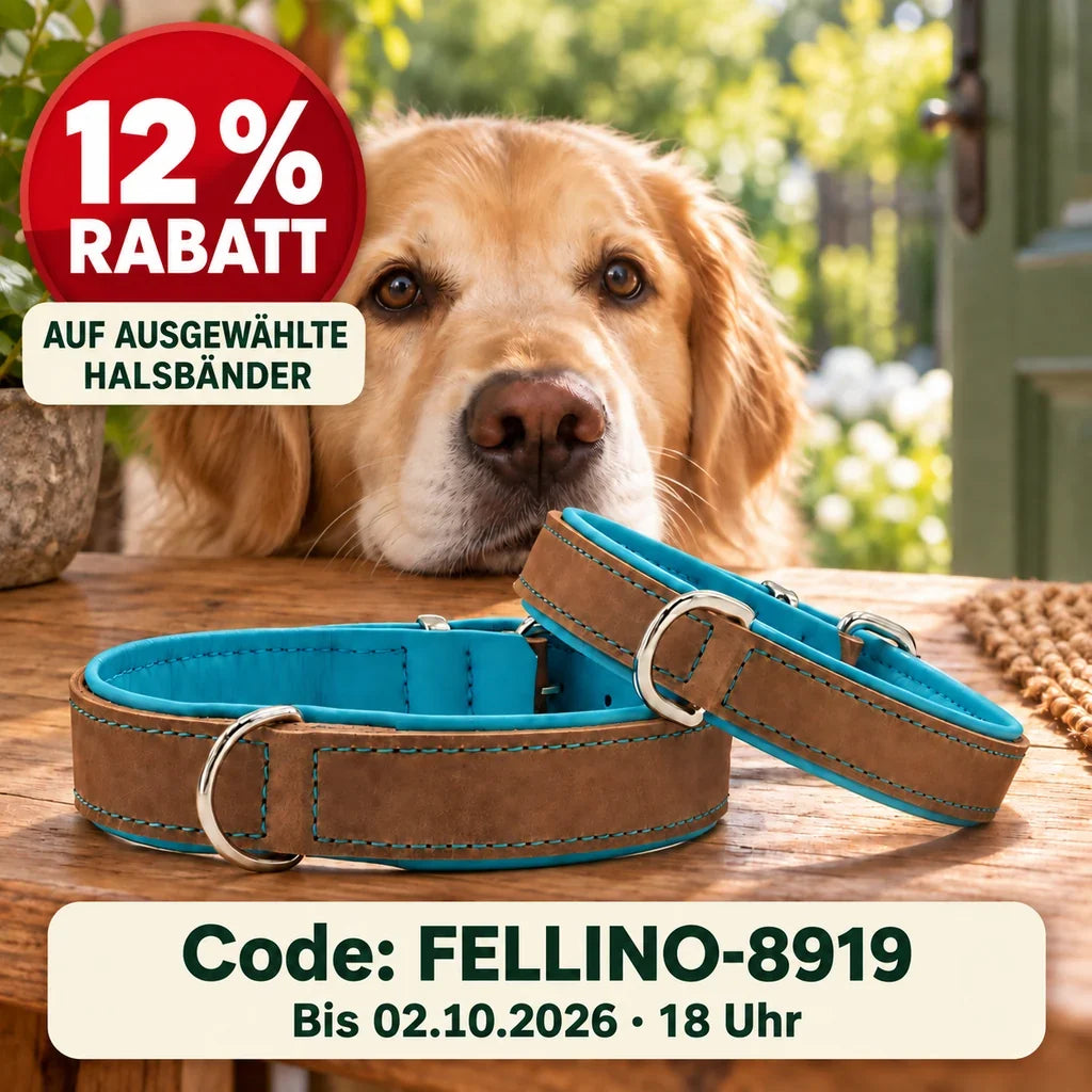 12 % Rabatt auf zwei ausgewählte Halsbänder mit Code FELLINO-8919, bis 02.10.2026 um 18 Uhr. Hund mit mokkabraunen Halsbändern vor sich.