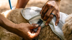 Swamp Cooler™ Kühlweste für Hunde