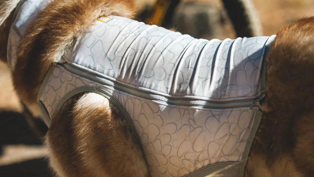 Kühlende Hundeweste Swamp Cooler Zip™ in hellblau mit geometrischem Muster, sorgt für Komfort und Sicherheit beim Hund.