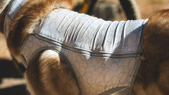 Swamp Cooler Zip™ Kühlende Hundeweste