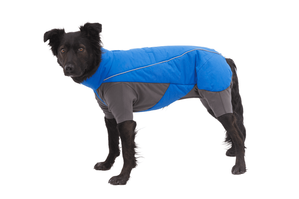 Blauer Vert™ Schneeanzug für Hunde, perfekt sitzend und warm, ideal für winterliche Spaziergänge im Schnee.