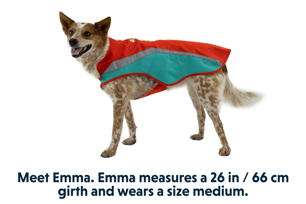 Hund in rotem Lumenglow™ Hundemantel mit türkisfarbenen Elementen, ideal für Sicherheit und Sichtbarkeit.