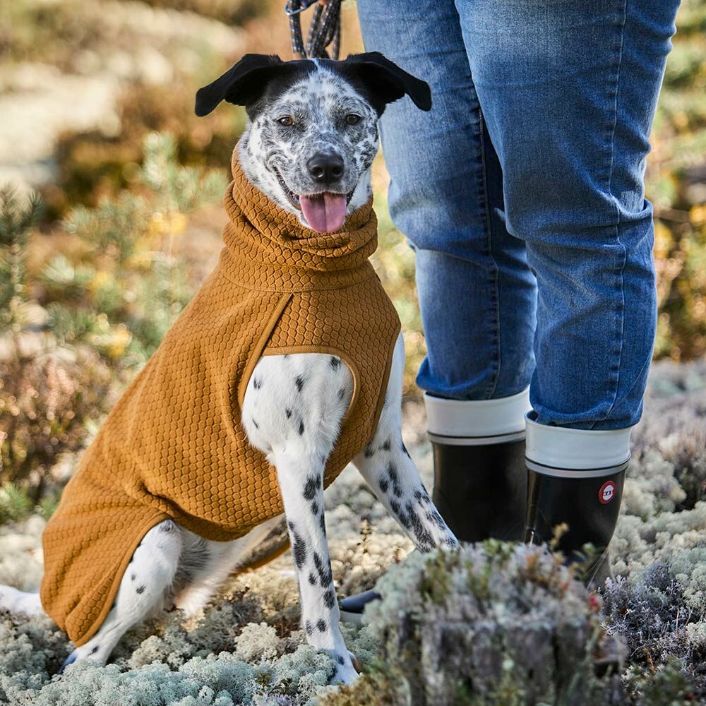 Wärmende Hundejacke Warming Midlayer ECO – zusätzliche Produktansicht 3