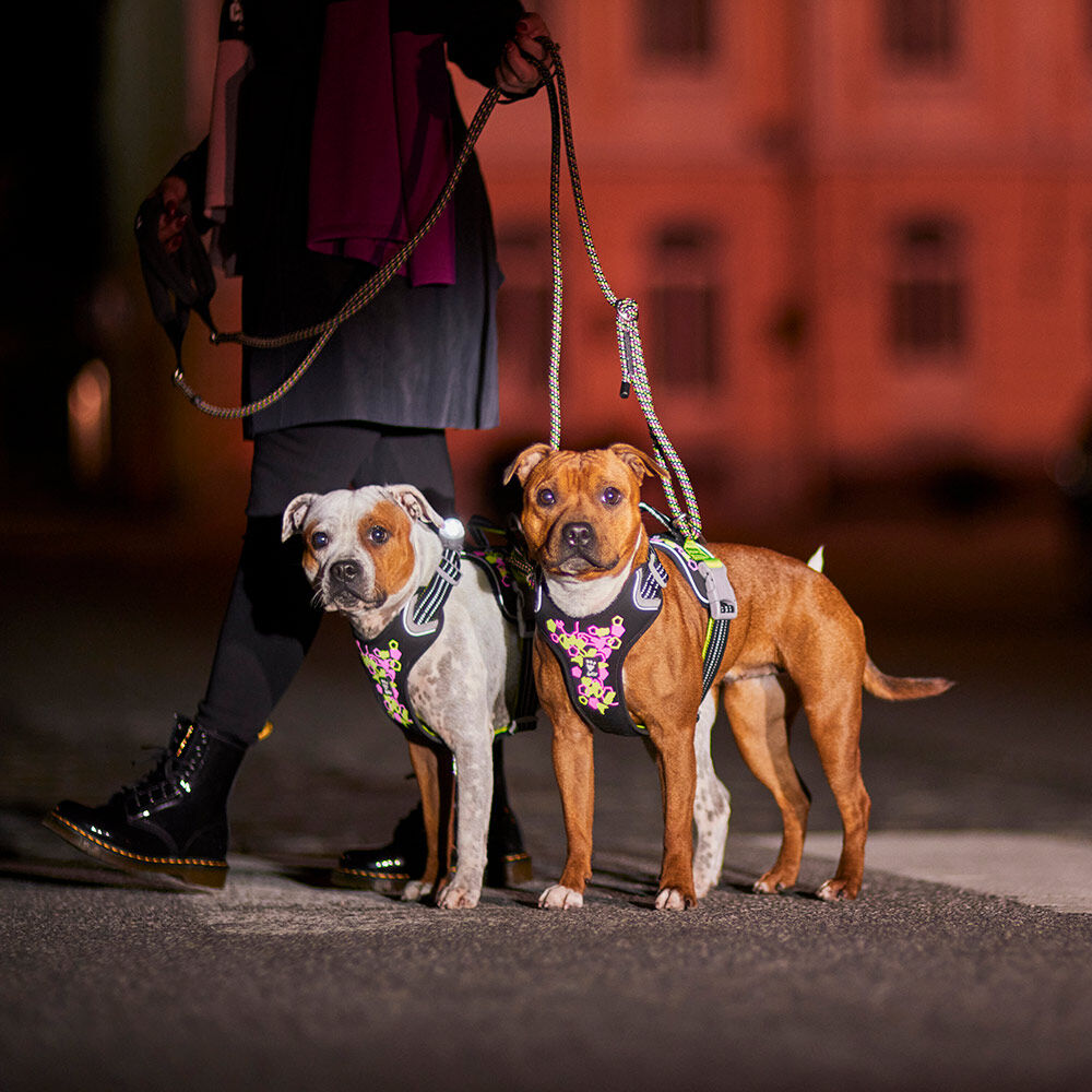 Hundegeschirr Weekend Warrior Harness II – zusätzliche Produktansicht 4
