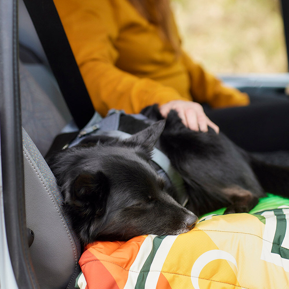Autogeschirr Travel Harness ECO – zusätzliche Produktansicht 7