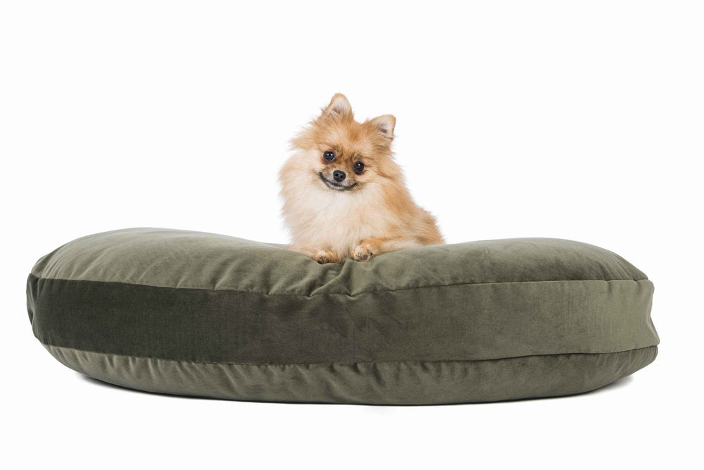 Brauner Pomeranian auf dem ovalen PRADO Design-Hundebett OXFORD in dunklem Grünton, freundlich zur Kamera schauend.