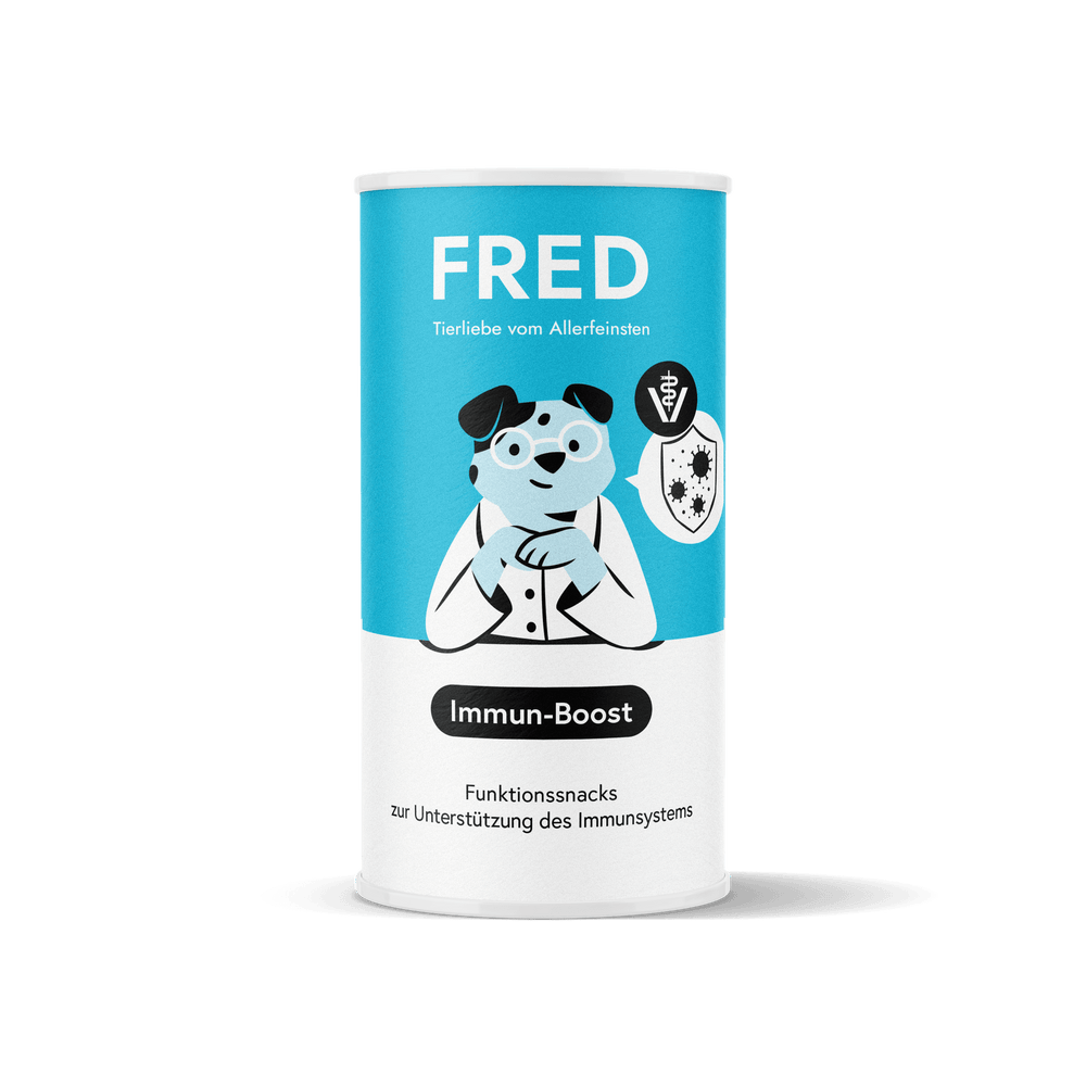 Runde Dose mit Funktionssnack Immun-Boost für Hunde, unterstützt das Immunsystem mit natürlichen Zutaten.