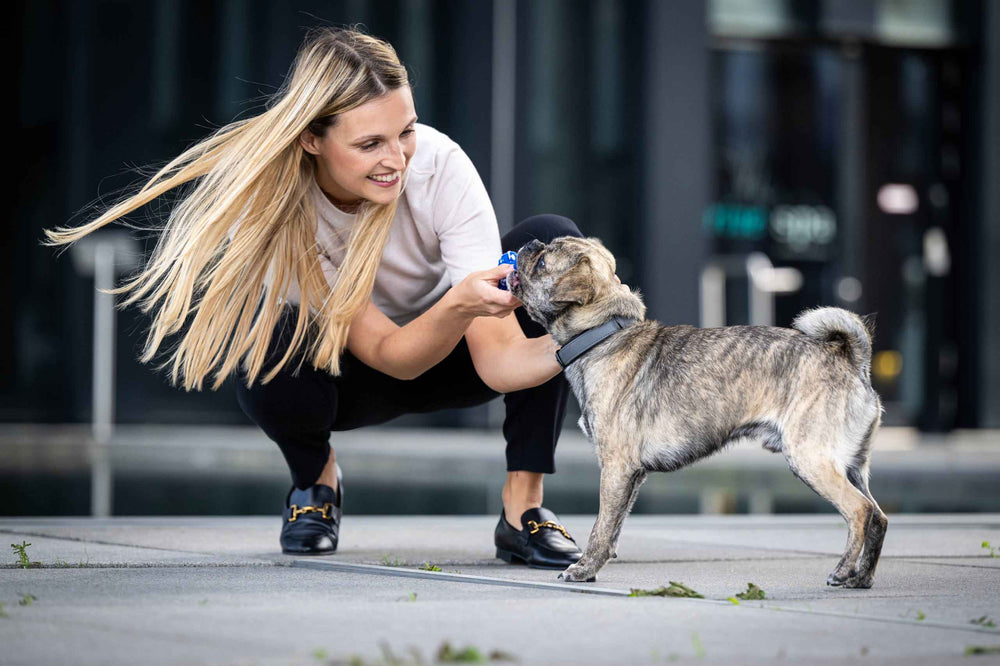 ALT-Text: Frau kniet und bietet ihrem Hund im Spielzeug-Set "Bavarian Dreams" ein Spielzeug an. Spaß und Bindung für Hunde!
