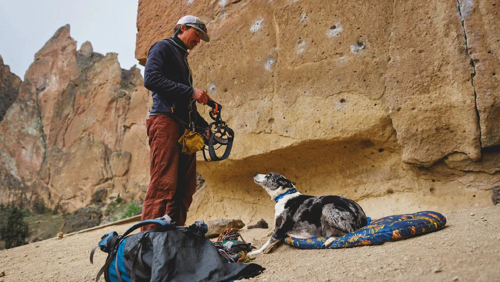 Kletterer und Hund in Felslandschaft, Hund sitzt auf buntem Faltbett neben Rucksack und Kletterausrüstung.